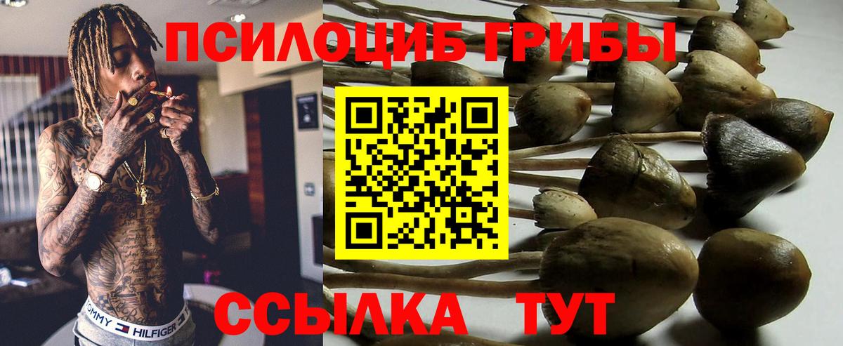 Псилоцибиновые грибы Psilocybine cubensis  Вход с VPN  Армавир 